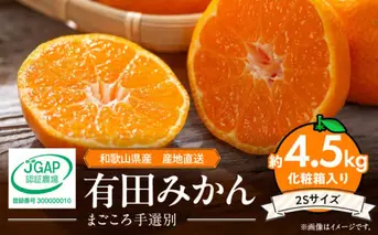 ZE6057n_有田みかん 化粧箱 約4.5kg 2Sサイズ【まごころ手選別】