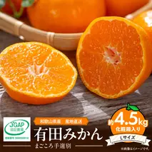 ZE6060n_【2025年先行予約】和歌山県産 有田みかん 化粧箱 約4.5kg Lサイズ【まごころ手選別】