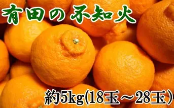 ZD6058n_【2026年先行予約】【濃厚】有田の 不知火 (デコポン) 約5kg（18玉～28玉おまかせ）