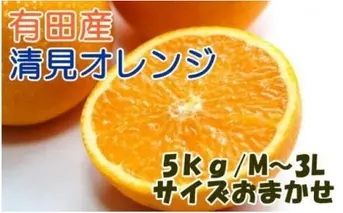 ZD6113n_【2026年先行予約】【産直】有田産清見オレンジ 約5kg (秀品サイズおまかせ)