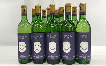 達磨寺ワイン白×12本＜辛口＞ 白ワイン お酒 父の日 