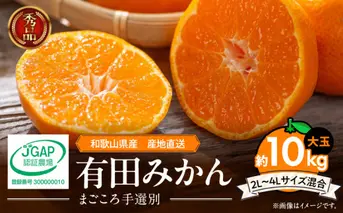 ZE6333n_【2025年先行予約】和歌山有田みかん10kg　2L～4Lサイズ混合 