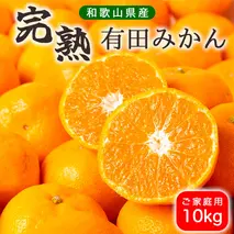 BG6105n_濃厚完熟！ 有田みかん 10kg (2S～Lサイズ混合 家庭用) 【送料無料】