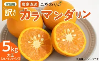 ZT6211n_【2026年先行予約】こだわりの カラマンダリン 【訳あり 家庭用】 5kg 藤秀園