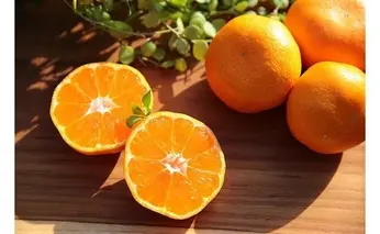 ZS6122n_主井農園 高級 松兵衛みかん 5kg SSサイズ