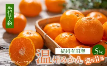 G7344_紀州 有田産 濃厚甘熟 温州みかん 5kg (小粒サイズ)