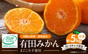 ZE6044n_和歌山県産 有田みかん 5kg 小玉(3S～Sサイズ混合)【まごころ手選別】