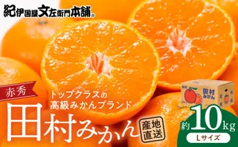 V7442_田村みかん／特選ギフト品10kg【Lサイズ】赤秀／紀州和歌山有田郡湯浅町田村地区産／最高級プレミアムブランドの田村ミカン／紀伊国屋文左衛門本舗(お届け日指定不可) 