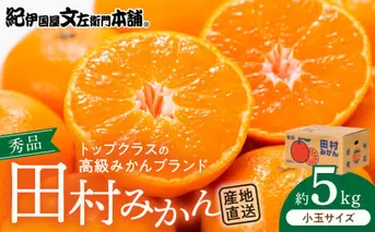 V7452_田村みかん／5kg秀品【小玉サイズ】
