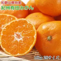 ZD7014_【2026年先行予約】【産直・秀品】 和歌山 有田みかん 10kg（2Sサイズ）