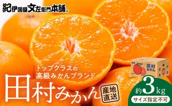 V7454_【2026年先行予約】田村みかん／特選ギフト品3kg【サイズ指定なし】