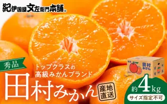V7453_田村みかん／4kg秀品 【サイズ指定なし】
