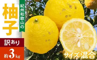 AB6014n_【国産】紀州和歌山の ご家庭用 訳あり 柚子 (ゆず) 約3kg