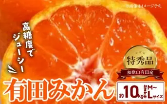 BD6034n_高糖度 有田みかん 特秀品 10kg (M～Lサイズおまかせ)【ミカン 蜜柑 柑橘 温州みかん 有田みかん 和歌山】