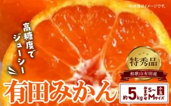 BD6035n_高糖度 有田みかん 特秀品 5kg 小玉 (S～Mサイズおまかせ)