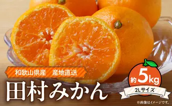 ZE6345n_【2025年先行予約】和歌山 湯浅町産 田村みかん 5kg【2L】