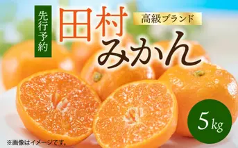 G7340_【2026年11月下旬より発送】高級ブランド 田村みかん 5kg