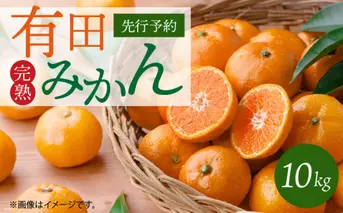 G7047_完熟 有田みかん 10kg