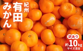 ZD92069_エコファーマーのこだわり 有田みかん 10kg (サイズ混合・秀・優品)【数量限定】