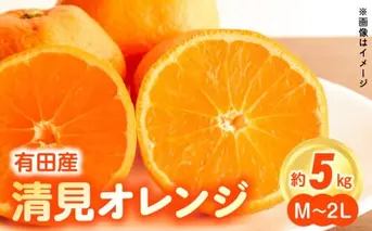 ZN6001n_【2026年先行予約】和歌山県有田産 完熟 清見オレンジ 5kg ひとつひとつ丁寧に厳選！生産者から直送【清見 みかん オレンジ タンゴール きよみ 柑橘 和歌山 有田】