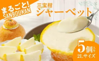 ZP6009n_まるごと三宝柑シャーベット 5個 セット