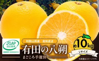 ZE6075n_【2026年先行予約】有田の八朔 (はっさく) 10kg （Lサイズ）まごころ手選別