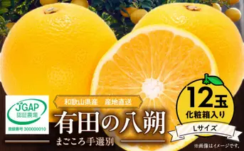 ZE6079n_【2026年先行予約】有田の八朔 (はっさく) 【化粧箱 】（Lサイズ）　12個入り　まごころ手選別