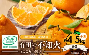 ZE6101n_【2026年先行予約】有田の不知火(しらぬひ）約4kg～5kg　小玉28玉（Sサイズ）まごころ手選別