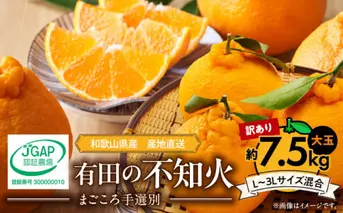 ZE6107n_【2026年先行予約】有田の不知火(しらぬひ) 【訳あり　家庭用】7.5kg 大玉 （L～3Lサイズ混合）まごころ手選別