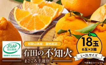 ZE6112n_【2026年先行予約】有田の不知火(しらぬひ)　6玉× 3箱（L～2Lサイズ）まごころ手選別
