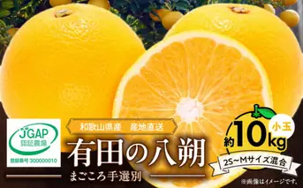 ZE6154n_【2026年先行予約】有田の八朔 (はっさく) 10kg  (2S～Mサイズ混合）まごころ手選別