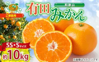 ZJ6098_有田みかん 訳あり 家庭用  約10kg (SS、Sサイズ)  みかん 温州みかん フルーツ 柑橘 果物 果実 ジューシー 人気 国産 食べ物 和歌山県 湯浅町 送料無料