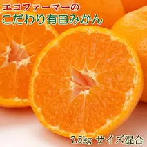 ZD92068_エコファーマーのこだわり 有田みかん 7.5kg (サイズ混合・秀・優品)