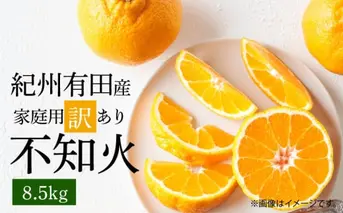 G7359_【2026年先行予約】紀州有田産 不知火 (しらぬい)【家庭用 訳あり】8.5kg