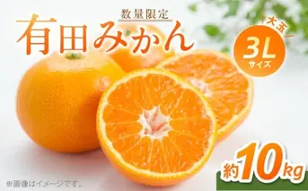 BF6012n_【数量限定】 有田みかん 大玉 3Lサイズ 10kg 【ミカン 蜜柑 柑橘 温州みかん 有田みかん 和歌山】