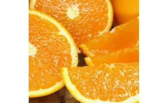 V7030_清見オレンジ 約4.5kg 湯浅町田村産 春みかん（果実サイズおまかせ）/ 紀伊国屋文左衛門本舗