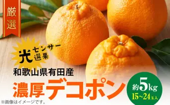 AB6175n_【2026年先行予約】和歌山有田の 濃厚 デコポン 5kg デコポン 約 5kg 15～24玉 サイズ おまかせ 糖度 13度以上 光センサー 選果 こだわり 厳選 濃厚 甘さ 適度 酸味 不知火 フルーツ 果物 デザート 柑橘 果実 濃厚 甘味 国産 食品 食べ物 お取り寄せ お取り寄せフルーツ 和歌山県 湯浅町 送料無料