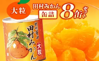 AY6004n_田村みかん 缶詰 8缶セット【フルーツ缶 フルーツ缶詰 みかん 有田みかん 和歌山産】