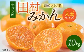 G7052_【2026年11月下旬より発送】高級ブランド 田村みかん 10kg 大玉サイズ