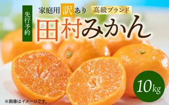 G7053_【2026年11月下旬より発送】高級ブランド 田村みかん 10kg【家庭用 訳あり】