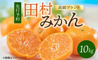 G7341_【2026年11月下旬より発送】高級ブランド 田村みかん 10kg