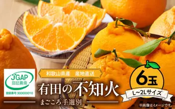 ZE6110n_【2026年先行予約】有田の不知火(しらぬひ)　6玉 （L～2Lサイズ）まごころ手選別