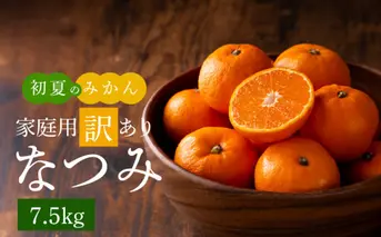 G7073_【2026年先行予約】初夏のみかん なつみ 7.5kg【家庭用 訳あり】【ミカン 蜜柑 柑橘 和歌山 有田 南津海】