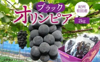 G7088_【2026年 先行予約】 紀州有田産 ブラックオリンピア (ハチミツぶどう) 2kg 【ぶどう ブドウ 葡萄 グレープ フルーツ 国産】