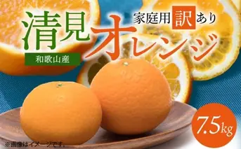 G7067_【2026年先行予約】紀州有田産 清見 オレンジ 7.5kg【家庭用 訳あり】