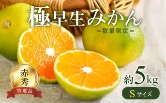 BF6036n_【2025年先行予約】【数量限定】 極早生みかん 5kg 赤秀 Sサイズ【ミカン 蜜柑 柑橘 温州みかん 有田みかん 贈答 ギフト わせみかん 和歌山】