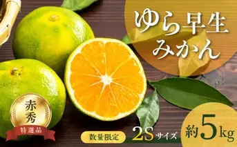 BF6040n_【2025年先行予約】【数量限定】 ゆら早生みかん 5kg 赤秀 ２Sサイズ