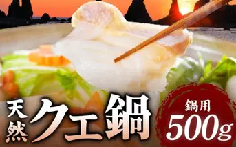 R1002_天然 クエ鍋 500g くえ鍋セット 幻の魚 魚 くえ鍋専門店 鍋用 上品 安定の品質 和歌山 湯浅町 