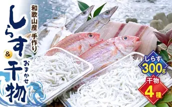 DL6001n_しらす ・ 干物 おまかせ詰め合わせ セット A