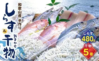 DL6002n_しらす ・ 干物 おまかせ詰め合わせ セット B